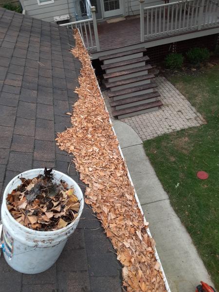 Jerry Cleans Gutters Windows & More