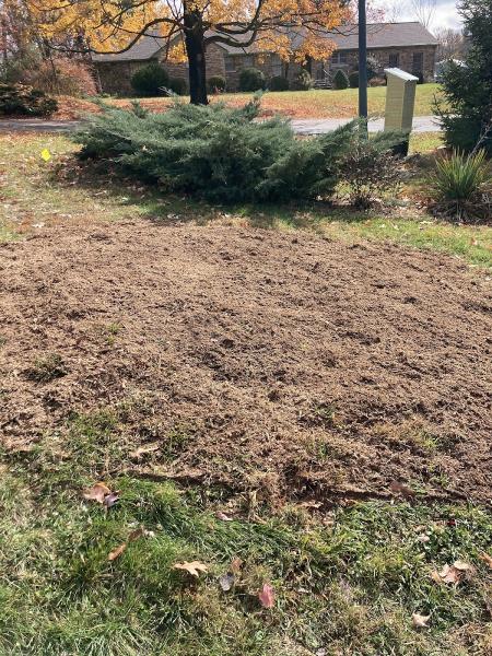 Jamie's Stump Grinding