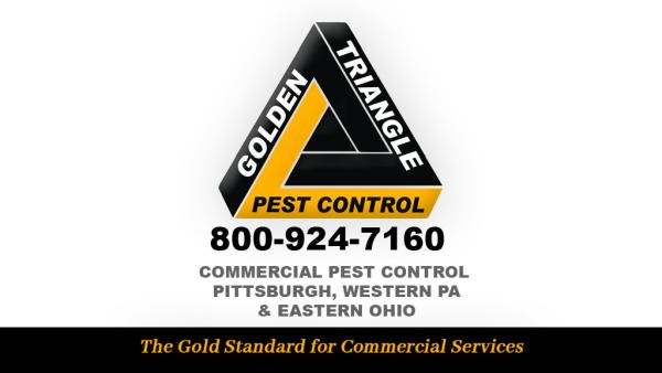 Golden Triangle Pest Control