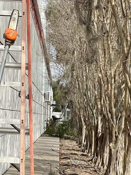 Nature Green Lawn Landscaping LLC