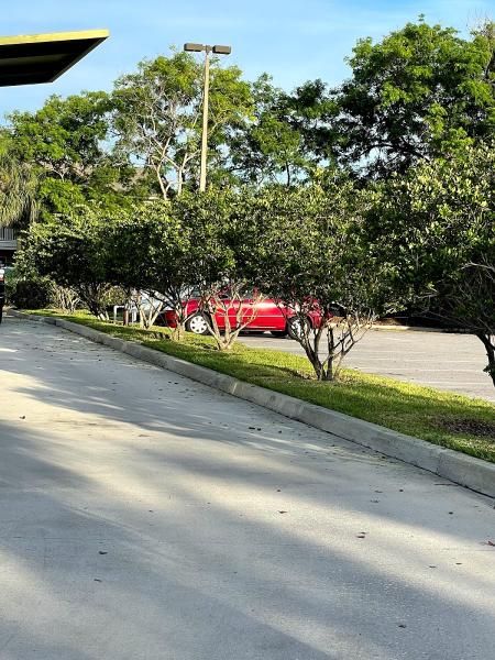 Nature Green Lawn Landscaping LLC