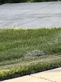 Hey Jude's Lawn Care