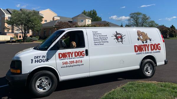 Dirty Dog Carpet