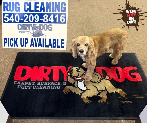 Dirty Dog Carpet