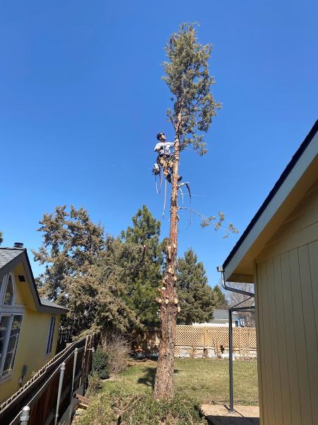 Prevish Home and Tree Services