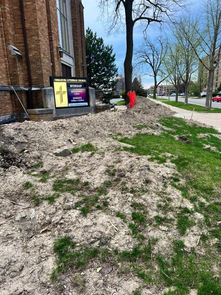 PTL Landscaping & Maintenance
