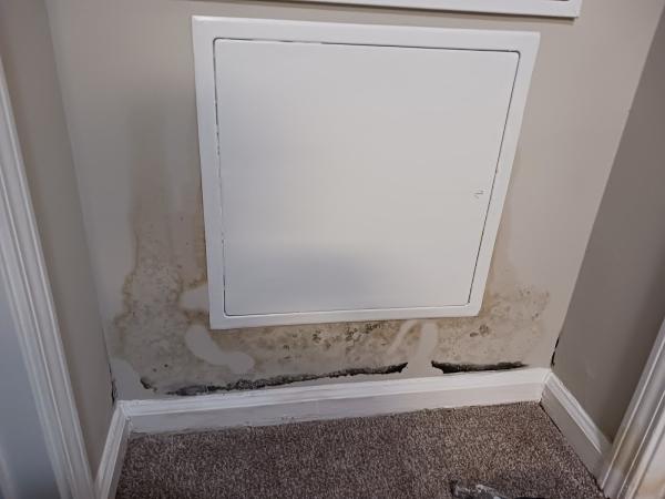 Peachtree Mitigation