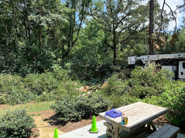 Chris Francis Tree Care