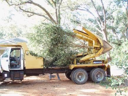 Chris Francis Tree Care