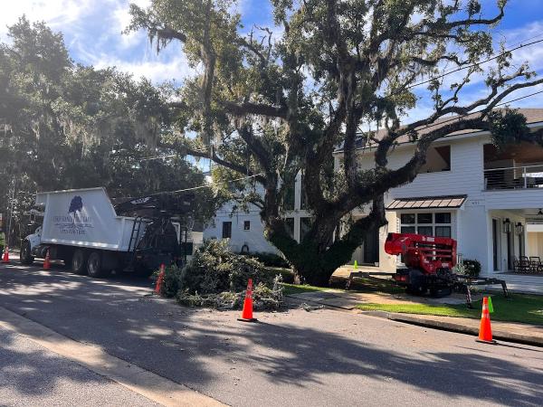 Chris Francis Tree Care