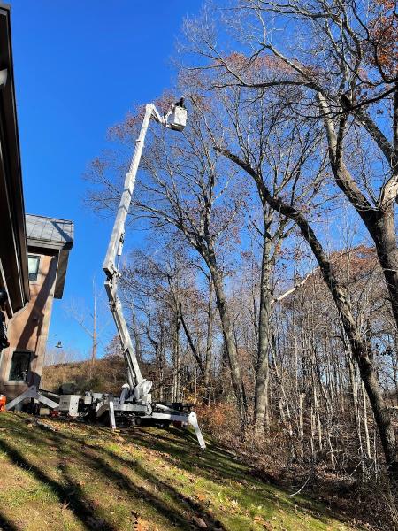 Bobby L Tree Service