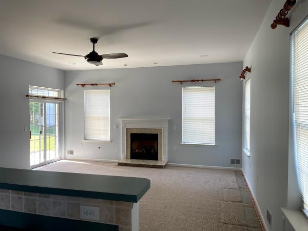 Silva Pro Painting LLC