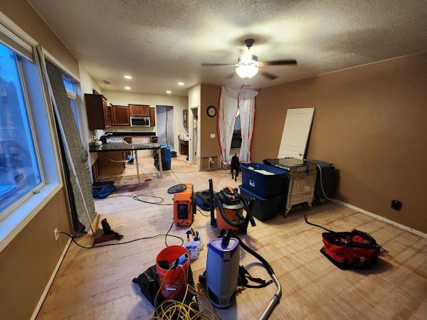 Axion Mold & Water Damage Restoration