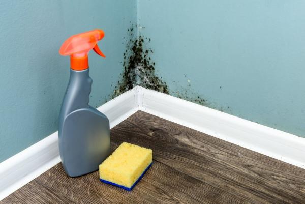 Axion Mold & Water Damage Restoration