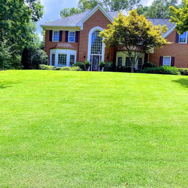 Cutter Up Lawn Care