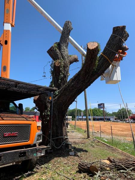 Ratliff Tree Service LLC