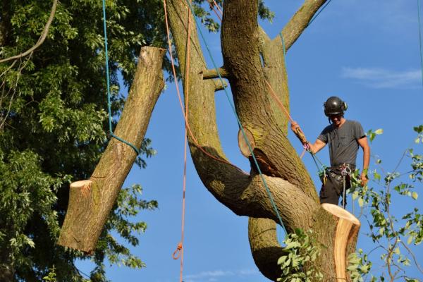Ratliff Tree Service LLC