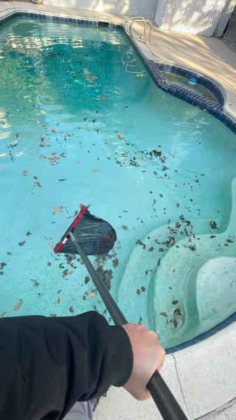 Swimclear Pools