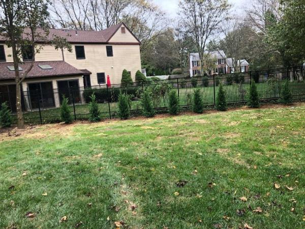 Edd's Tree Service
