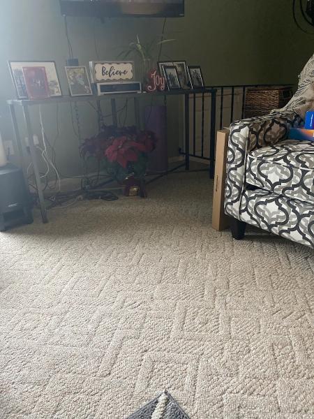 Fiber Dry Carpet & Upholstery Cleaning