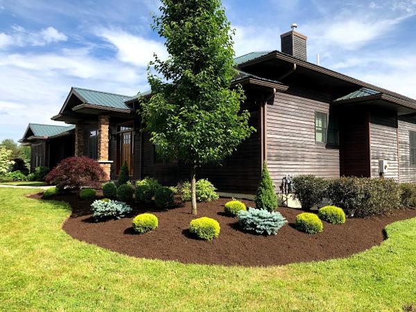 Picture Lake Landscaping
