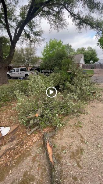 Oscar's Tree Service