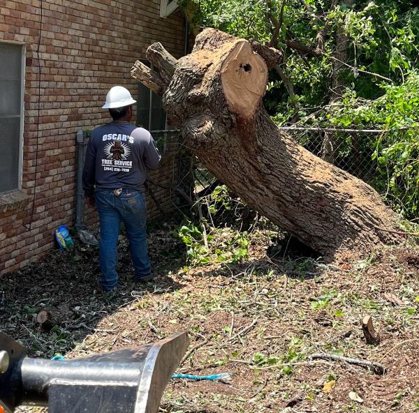 Oscar's Tree Service