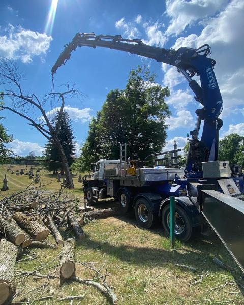 Allmark Tree & Crane Service