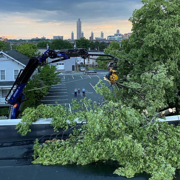 Allmark Tree & Crane Service