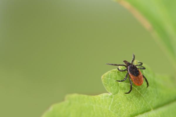 Trupest Solutions