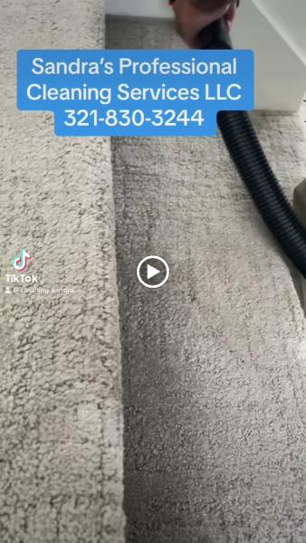 Sandra's Professional Cleaning Services LLC