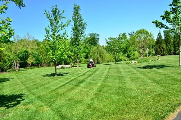 Irrigation & Sprinkler Repair Saint Augustine