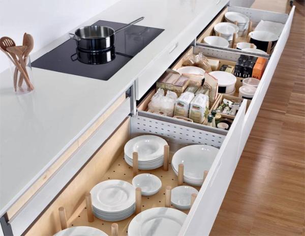 Tidy Haus
