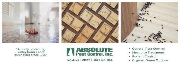 Absolute Pest Control