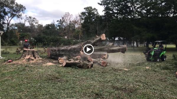 Safeguard Tree Service