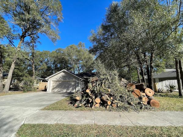 Safeguard Tree Service