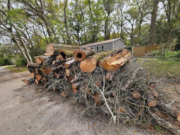 Safeguard Tree Service