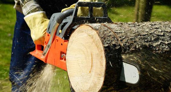 Get 'er Done Tree Service