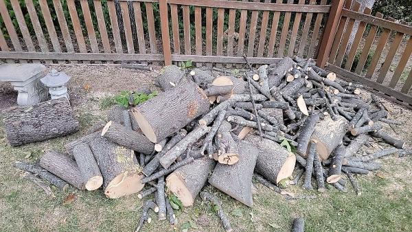 Get 'er Done Tree Service