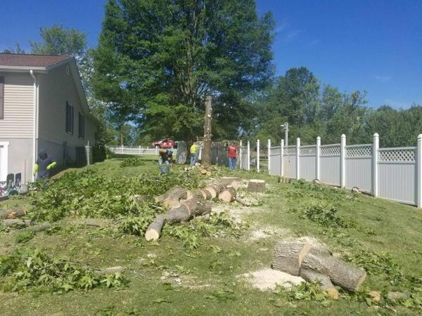 Get 'er Done Tree Service