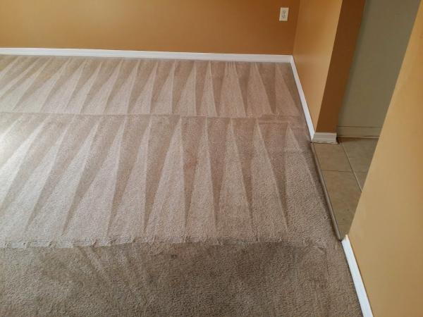Enviro-Tech Carpet Cleaning