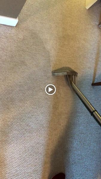 Econest Carpet Cleaning