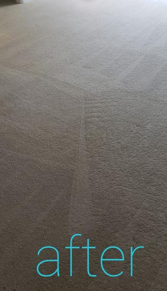 Econest Carpet Cleaning