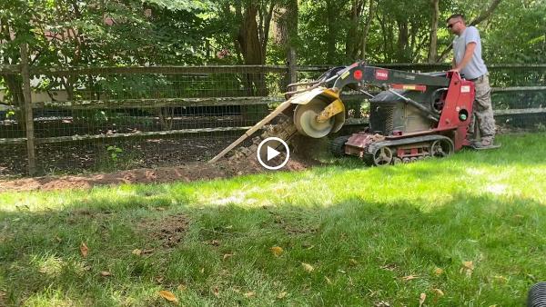 Evergreen Landscaping