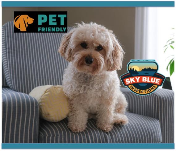 Sky Blue Inspections
