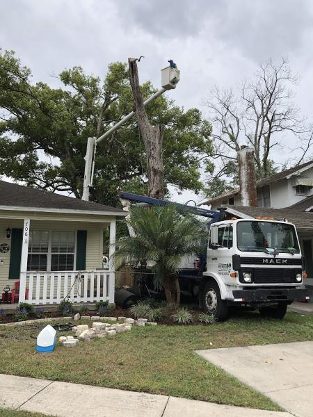 New Breeze Tree Service