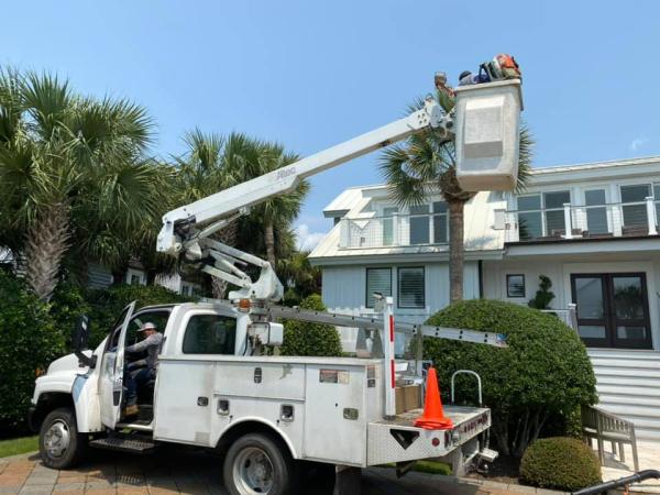C & N Tree Service and Landscape