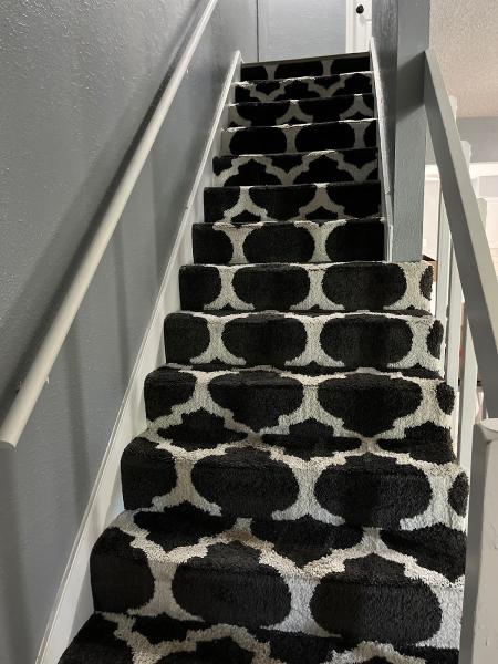 Alexander's Carpet Cleaning
