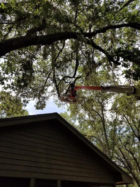 Top Cat Roofing