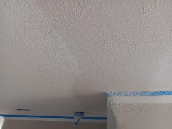 Shane's Drywall Repair and Painting LLC